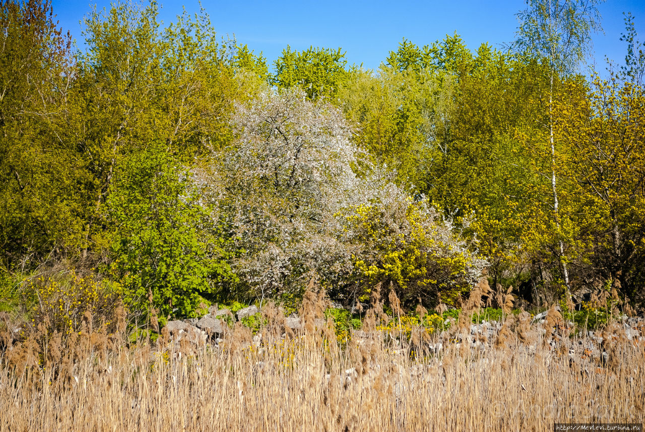 Daugavgrīvas Cietoksnis Рига, Латвия