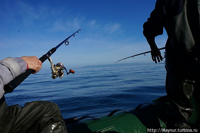 Ловись рыбка большая и  маленькая. Южно-Сахалинск, Россия