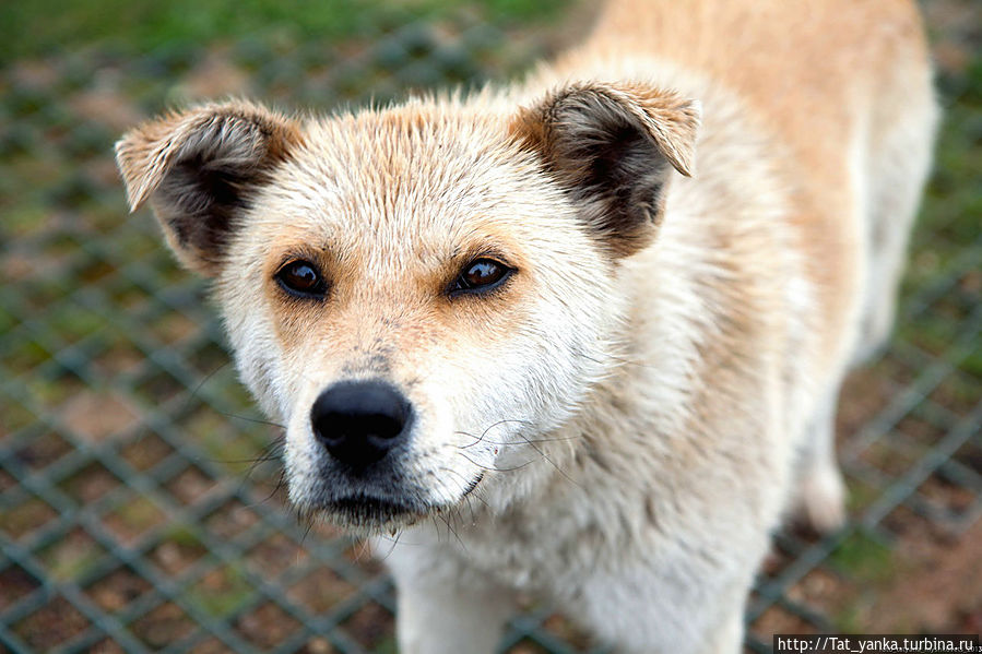 Охрана Мирского замка