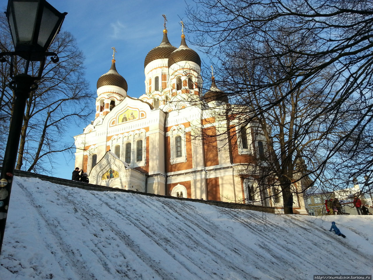 Рождественские селфи в Таллине