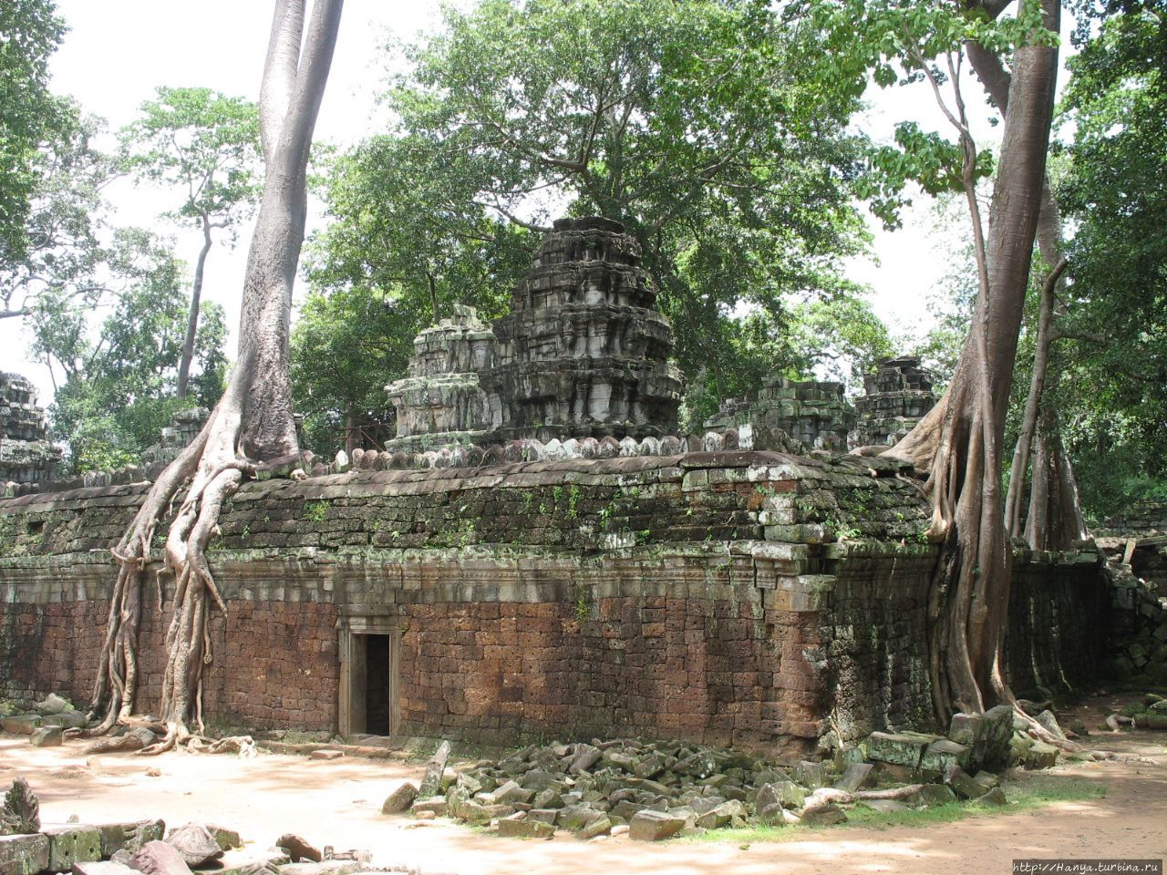 Храмовый комплекс Та Пром Ангкор (столица государства кхмеров), Камбоджа