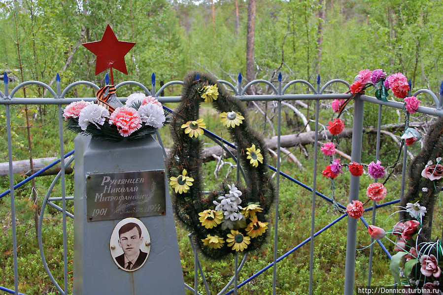 прямо в лесу иногда встречаются могилы солдат — вот одна из них Пасвик Заповедник, Россия