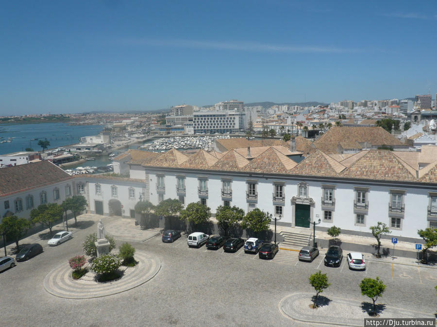 Увидеть город глазами аистов Фару, Португалия
