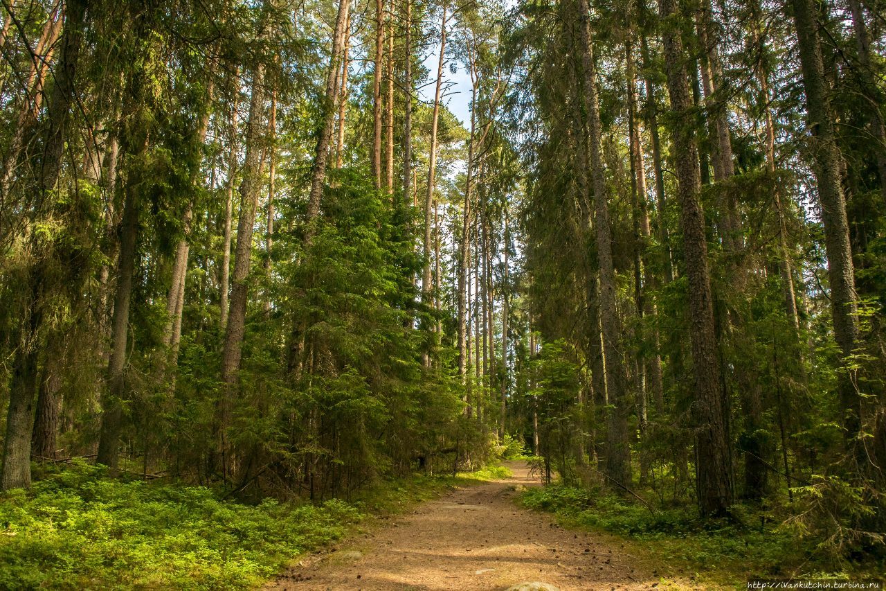 Кясму - деревня на берегу моря