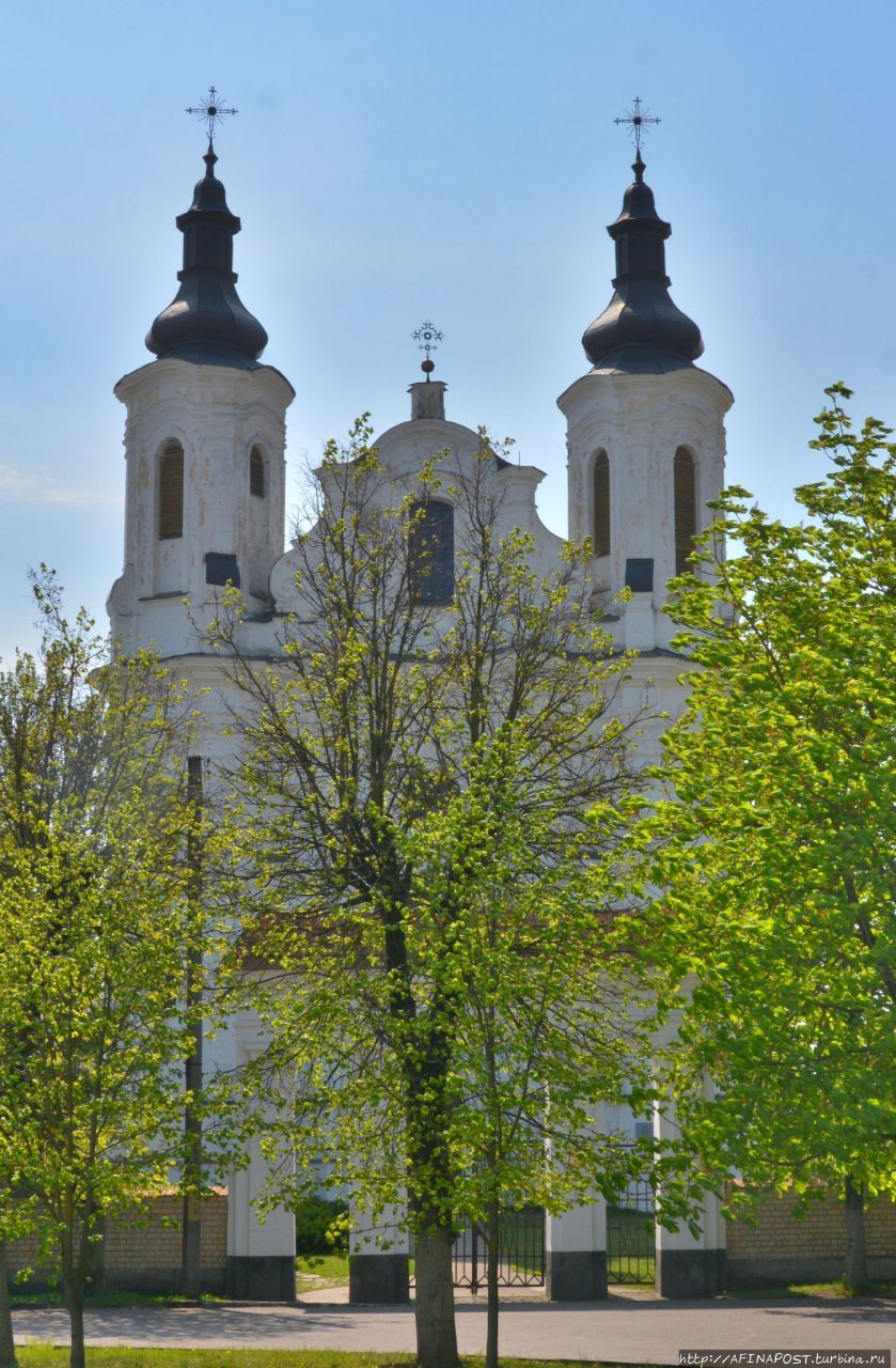 Костёл Святого Апостола Андрея Слоним, Беларусь