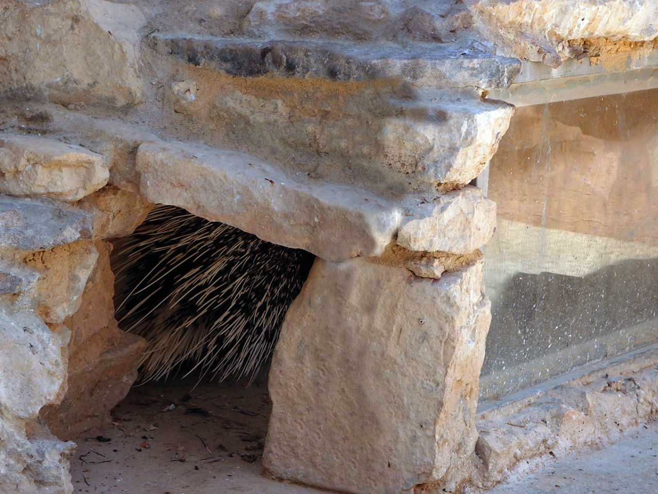 Волшебство пустыни. Махтеш Рамон Мицпе-Рамон, Израиль