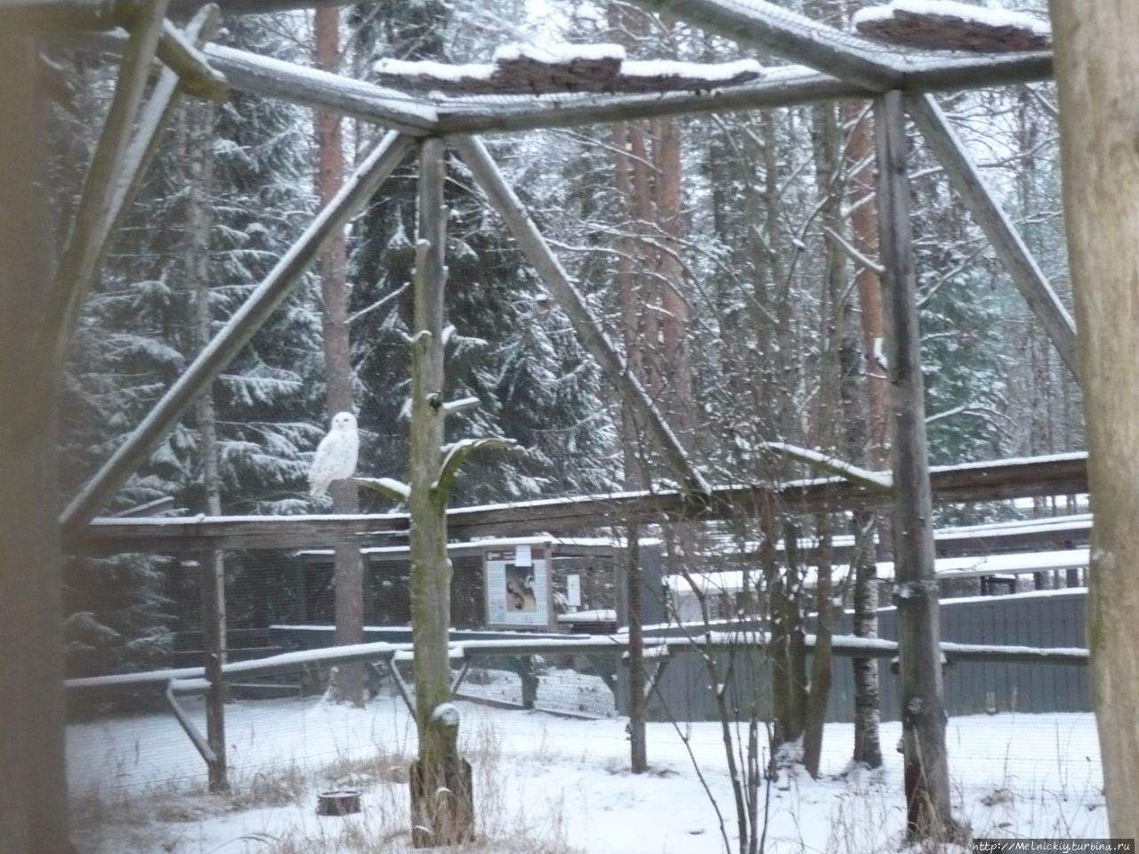 Зоопарк Яхтяри Эхтяри, Финляндия
