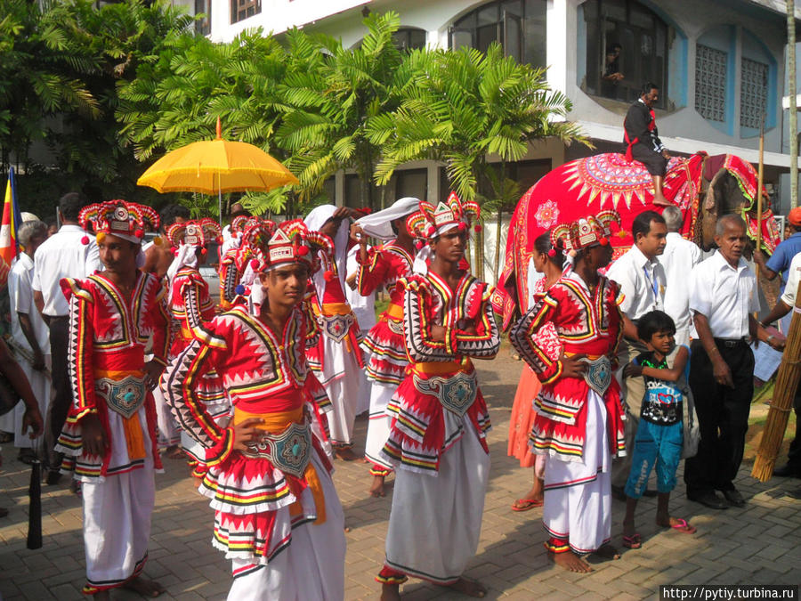 А вот и карнавал. Хиккадува, Шри-Ланка