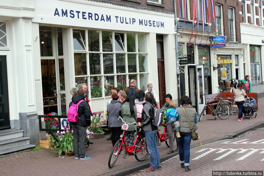 Музей тюльпанов ( Tulip Museum) расположен на самом известном канале Амстердама в районе Йордан по адресу Prinsengracht- 116.