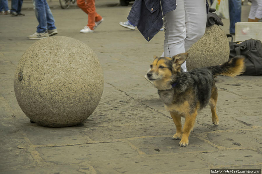Флоренция. Площадь Республики Флоренция, Италия