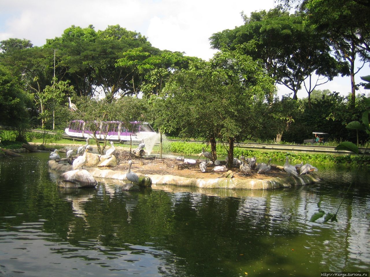 Парк Птиц Джуронг Сингапур (столица), Сингапур (город-государство)