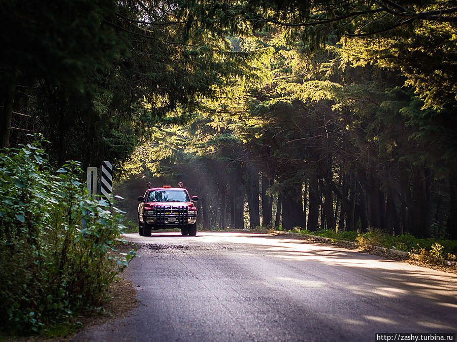 по дороге к вулкану