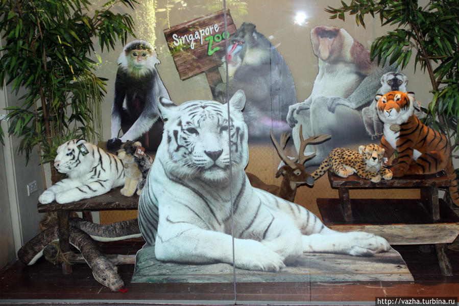 Знакомство с  зоопарком Сингапура. Первая часть. Сингапур (город-государство)