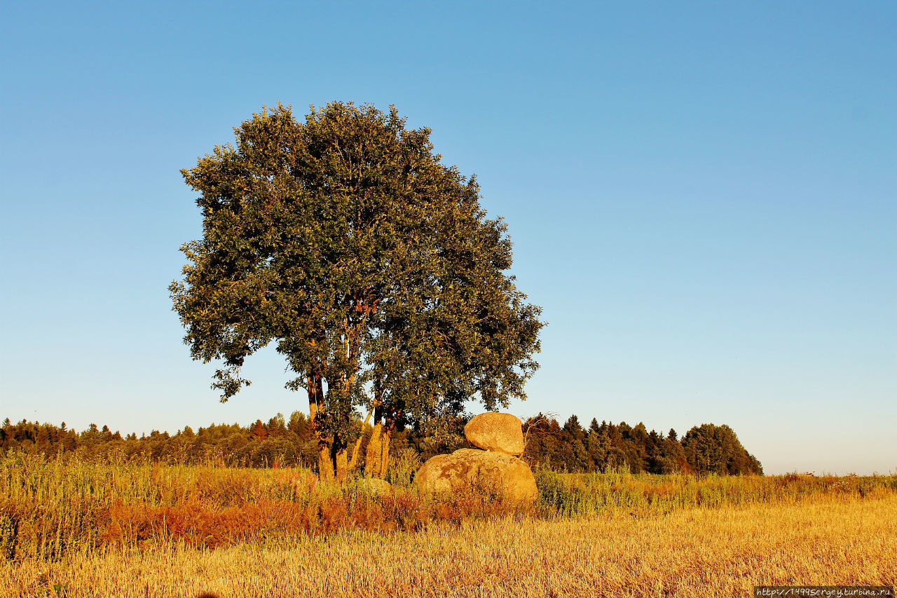 Воспоминания #3 Санкт-Петербург и Ленинградская область, Россия