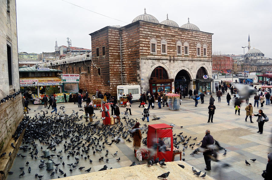 Голуби у Новой мечети Стамбул, Турция