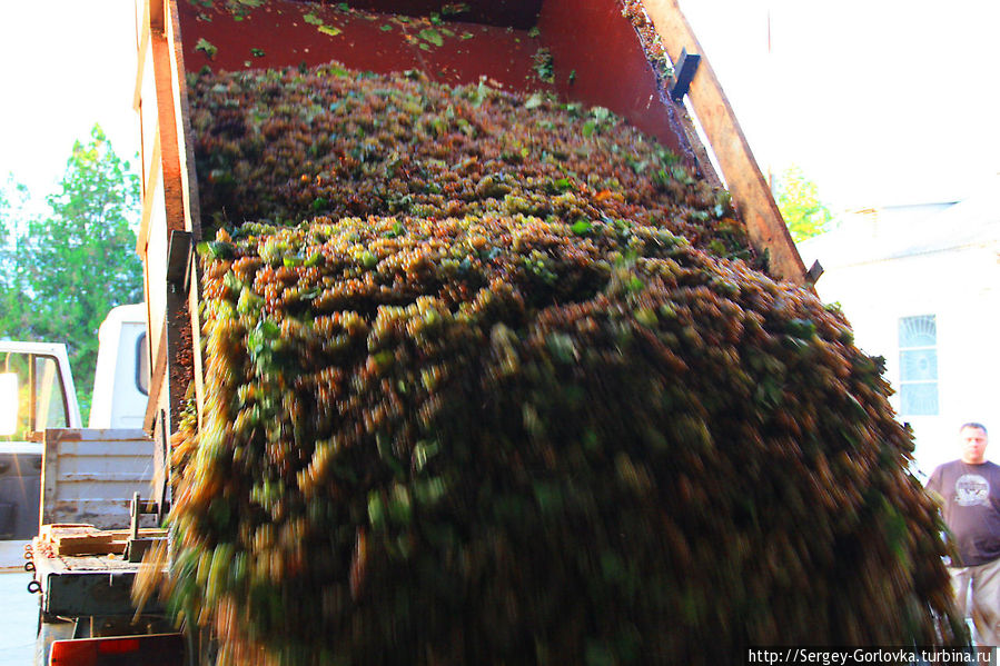 Золотая Амфора 2012 Песчаное, Россия