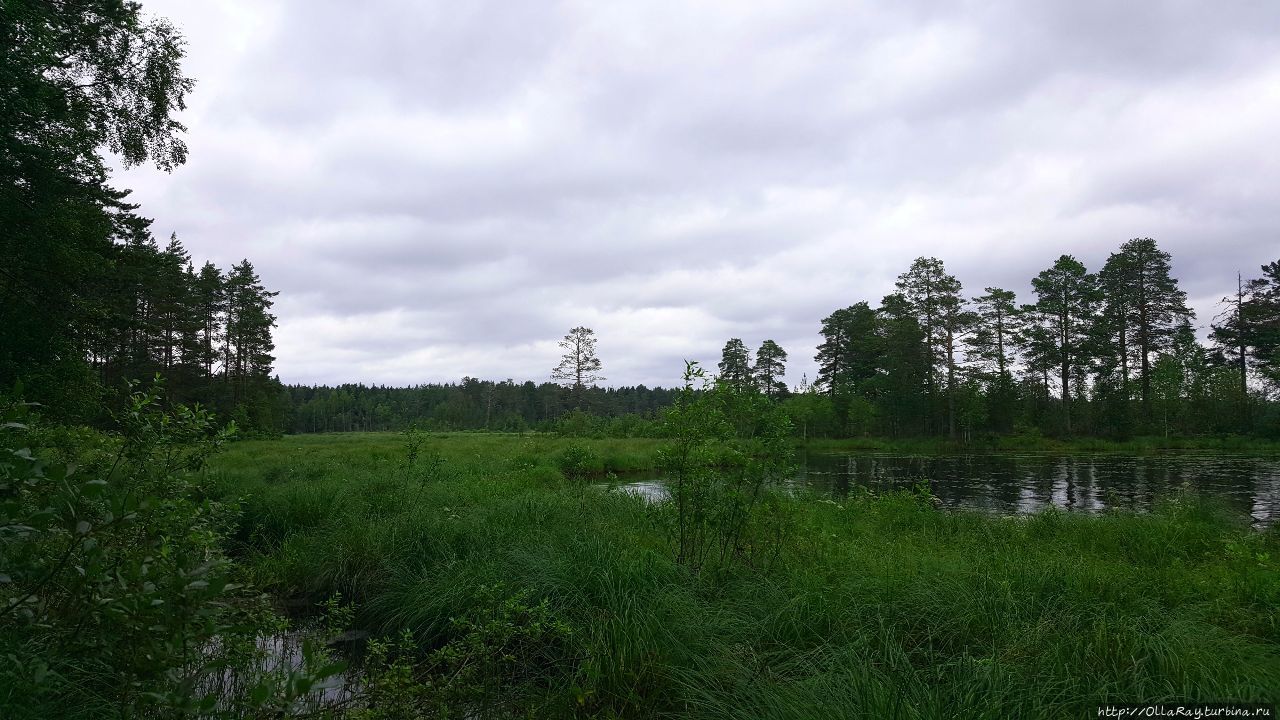 Август по-карельски (альбом). Республика Карелия, Россия