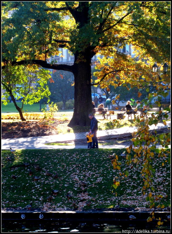 Сегодня в Риге солнце! Рига, Латвия