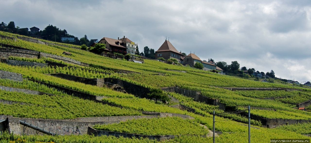 Террасовые виноградники Лаво Лаво винодельческие террасы, Швейцария
