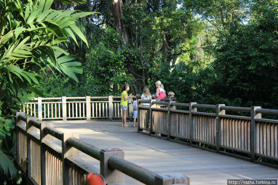 Знакомство с  зоопарком Сингапура. Первая часть. Сингапур (город-государство)