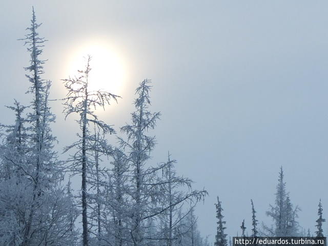 Заиндевевшая действительность северных широт Игарка, Россия