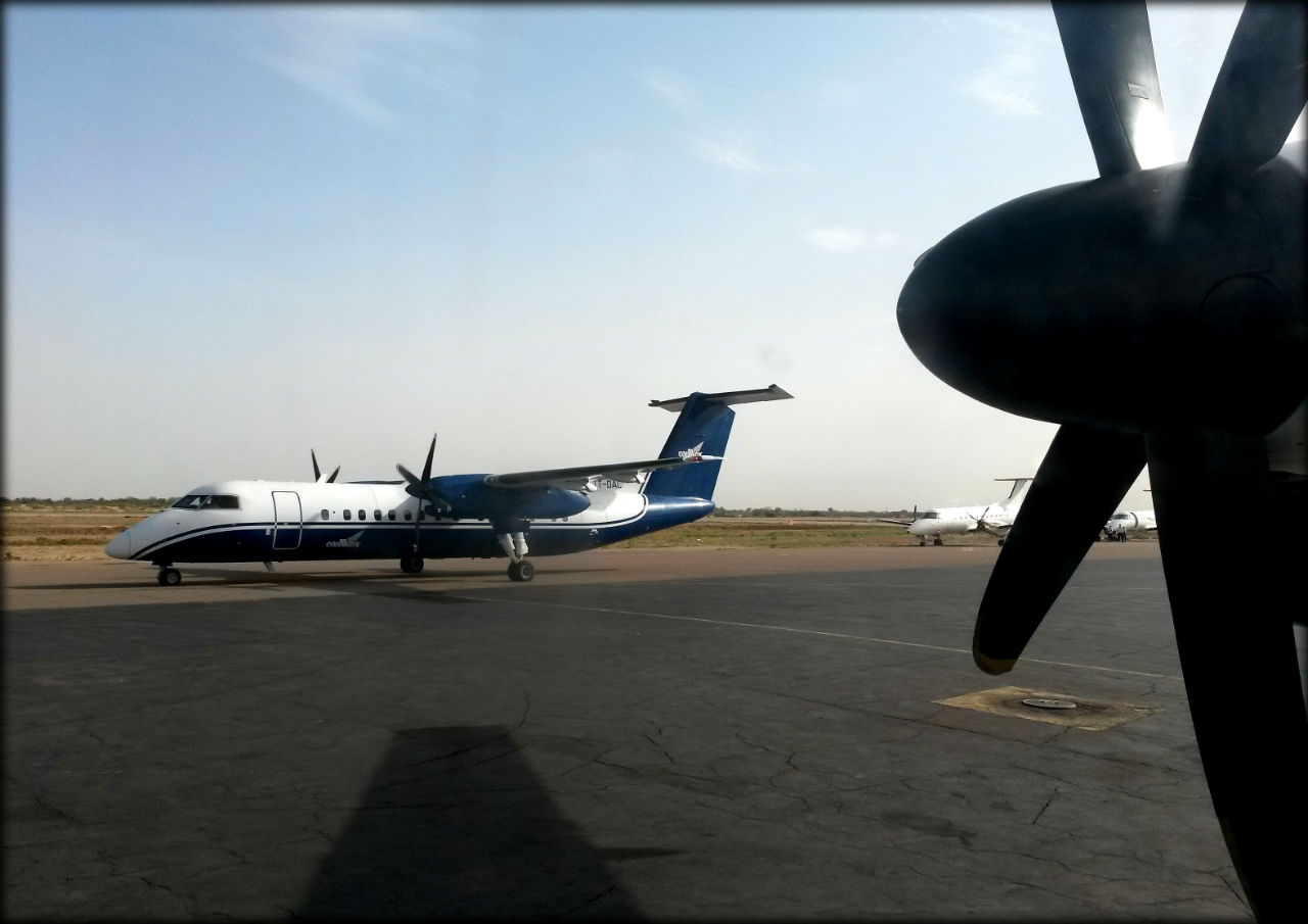 Крылья наших мечтаний