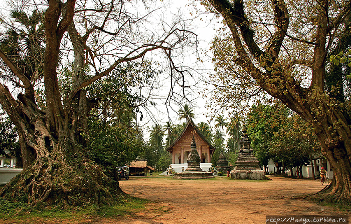 Монастырь Открытого Сердца Ват Ахам. Два баньяновых дерева. Фото из интернета