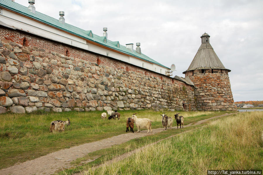 Соловки Соловецкие острова, Россия