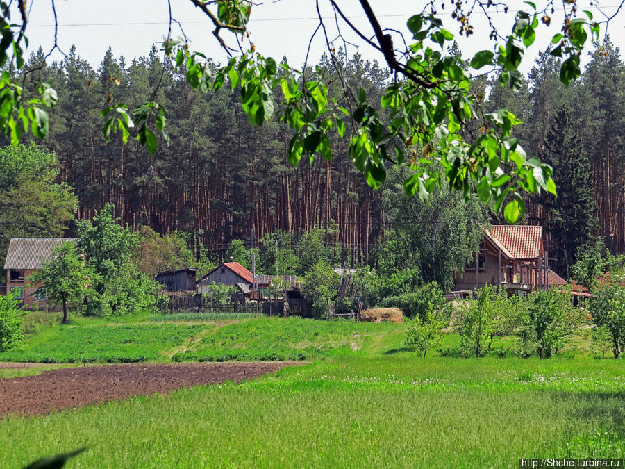 на краю лесополосы, за полем окраина Бишкиня, наш дом крайний (три раза корень край в одном предложении, круто) Бишкинь, Украина