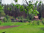 на краю лесополосы, за полем окраина Бишкиня, наш дом крайний (три раза корень край в одном предложении, круто)