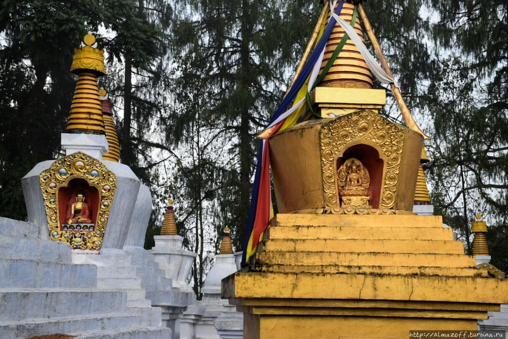 Самое святое место королевства Сикким Монастырь Ташидинг, Индия