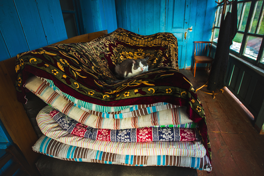 Первый кот, которого мы встретили в Грузии:) Хорошо устроился..