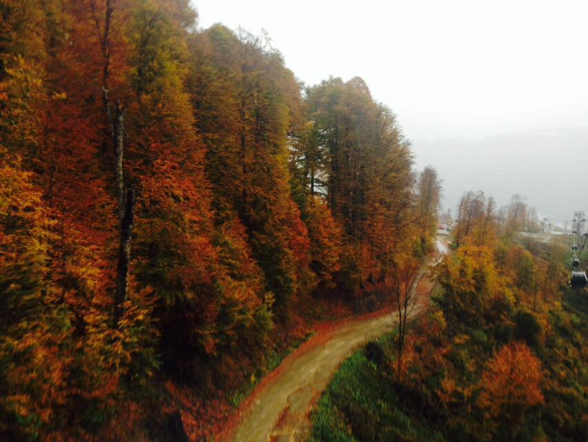 Осень в Красной Поляне