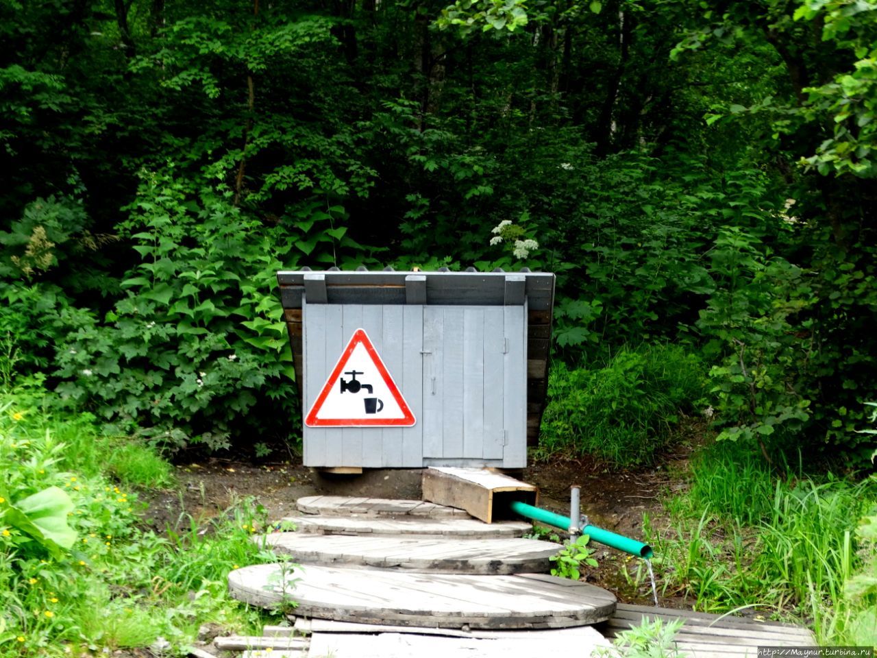 Родники  мои, родники Долинск, Россия