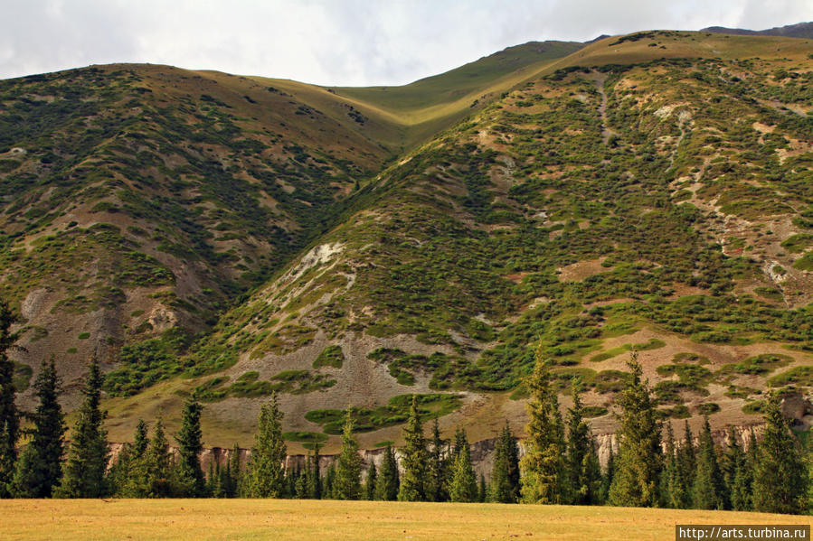 Семёновское и Григорьевское ущелья северный берег Иссык-Куля Чолпон-Ата, Киргизия