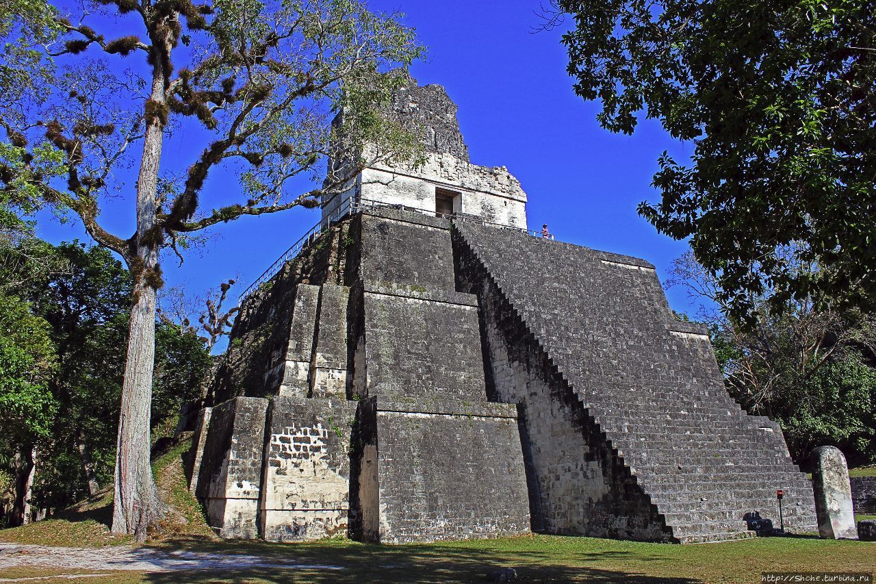 Главная площадь Тикаль Национальный Парк, Гватемала
