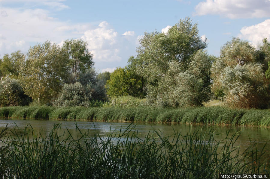 Озеро Садовское: голубая подкова в изумруде зелени Садовое, Казахстан