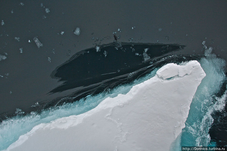Паковый Лёд — это Улёт! (редкое видео с 83 градуса с.ш.) Земля Франца-Иосифа архипелаг, Россия