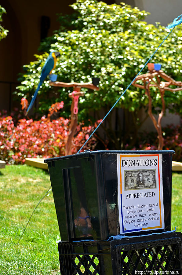 Выбор за вами Сан-Диего, CША