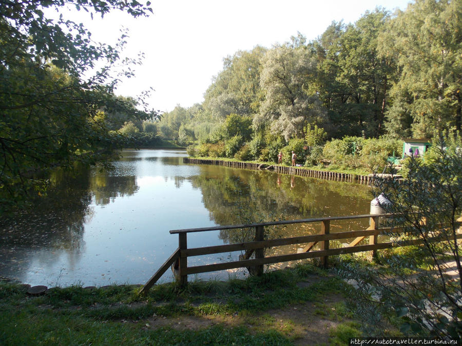 Он появился!!!