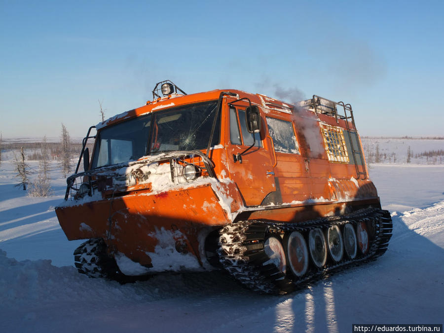 Вездеход — хорошо, вертолет — хорошо, а олени — лучше!!! Игарка, Россия