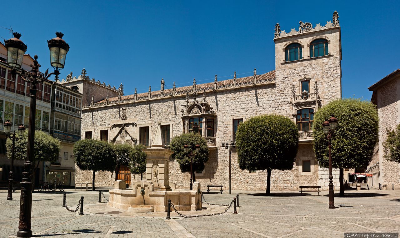 Дворец констеблей Кастилии , широко известный как Каса — дель — Кордон (Casa del Cordón) Бургос, Испания