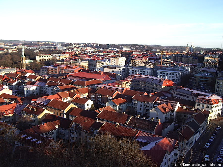 вид на город-3