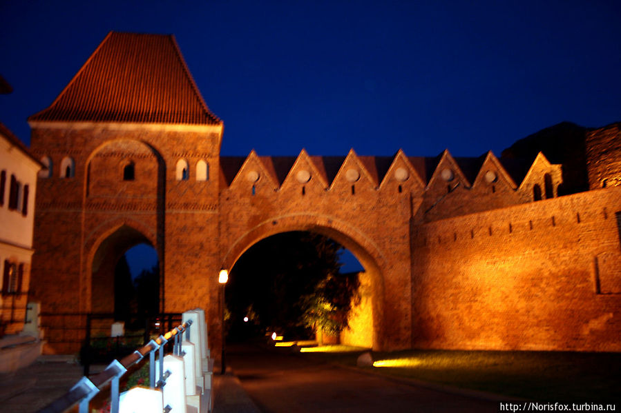 Ночной город и его обитатели Торунь, Польша