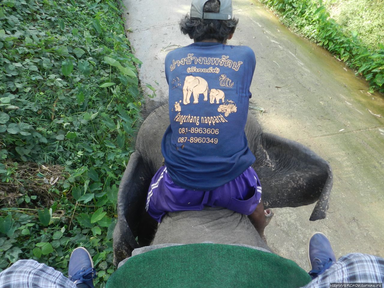 Катание на слонах Остров Пхукет, Таиланд