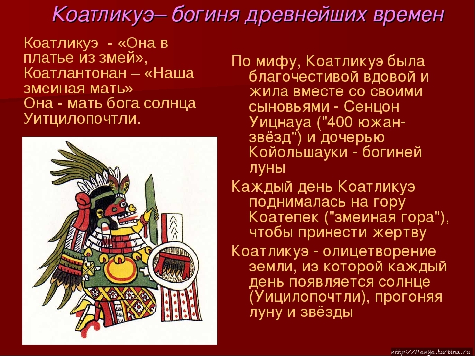 Из интернета