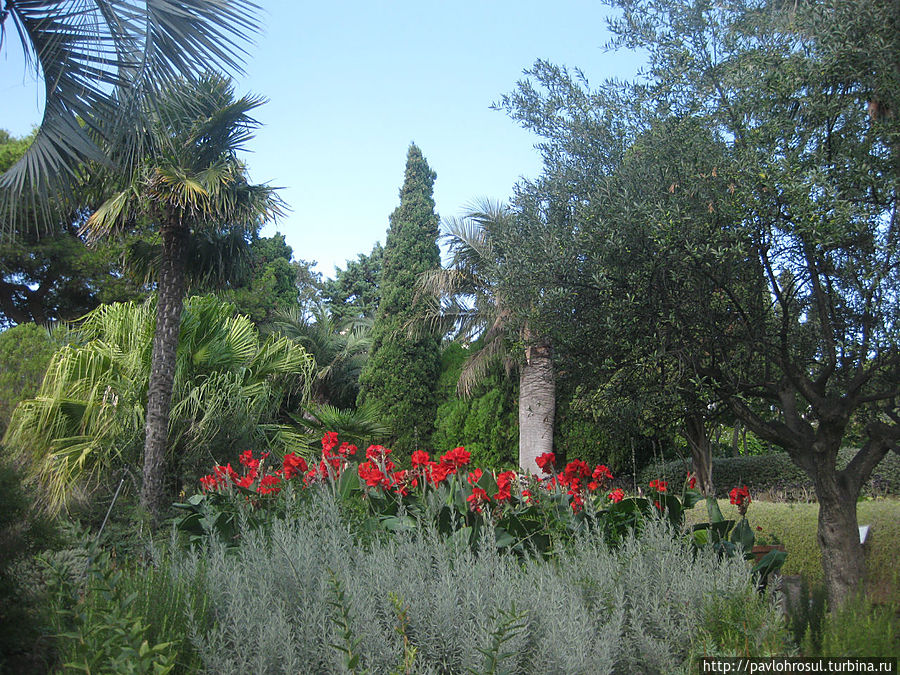 ботанический сад Мар и Муртра. Бланес, Испания