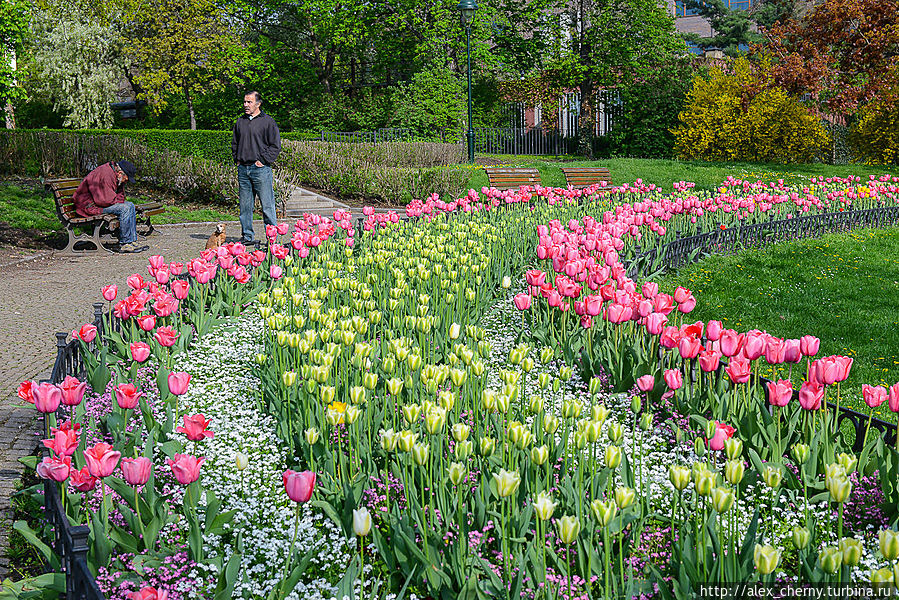 летенские сады Прага, Чехия