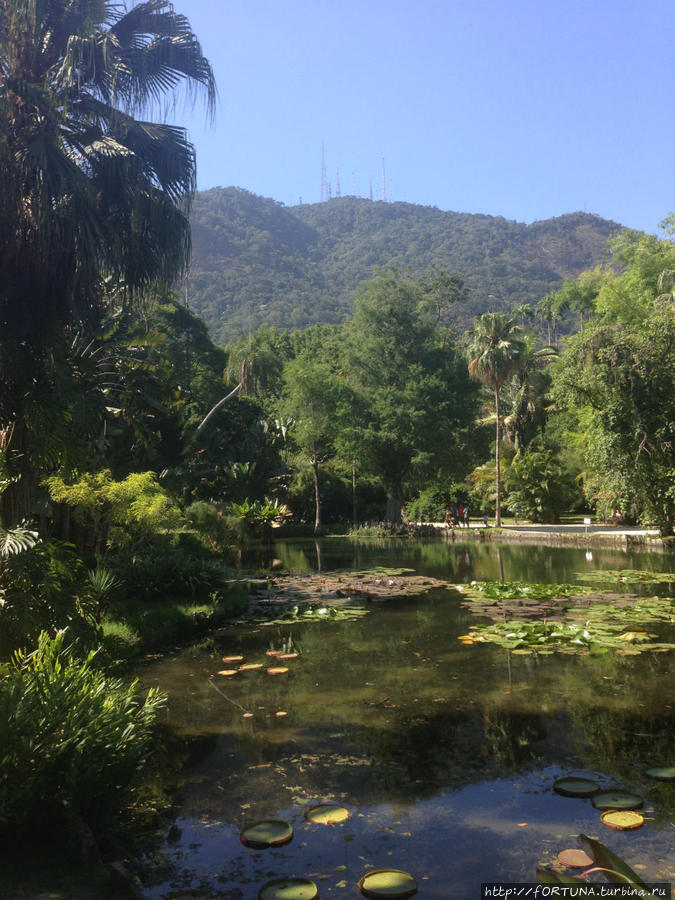 Ботанический Сад Рио-де-Жанейро Рио-де-Жанейро, Бразилия