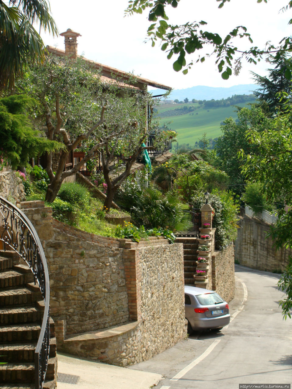 Градара. Красные розы для Франчески Градара, Италия